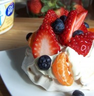 pavlovafeature