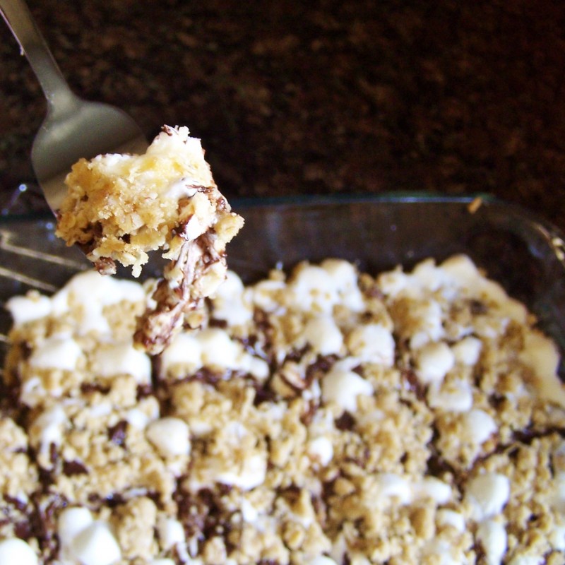 S'mores Squares - ooey gooey sweet perfection!