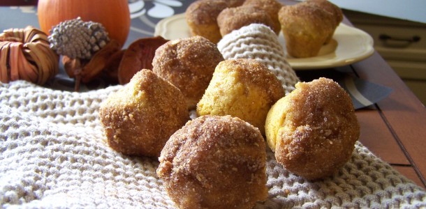 pumpkin donut features
