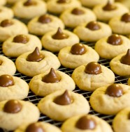 happy cookies-6