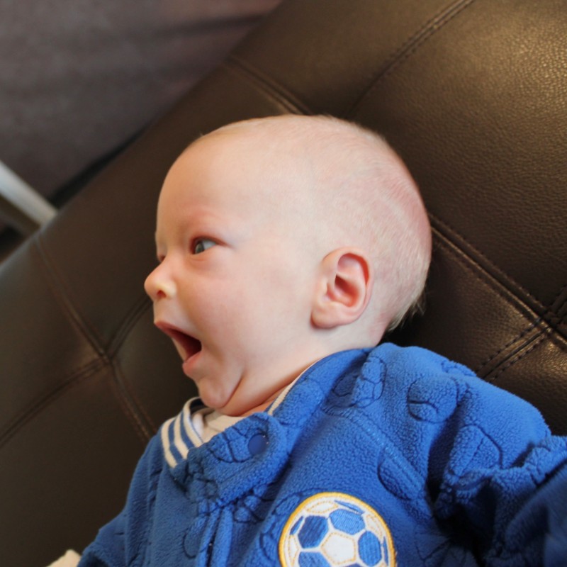 Theo yawn