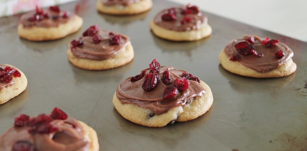 Chocolate Cranberry Bliss