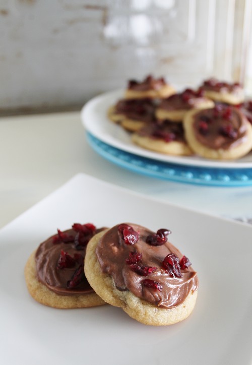 Chocolate Cranberry Bliss Cookies