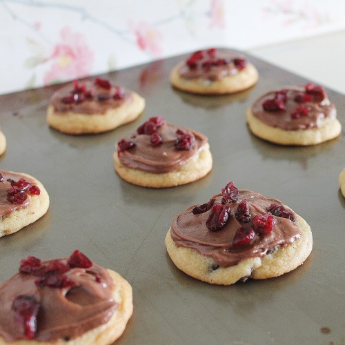 Chocolate Cranberry Bliss Cookies