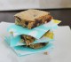 Salted Blondies