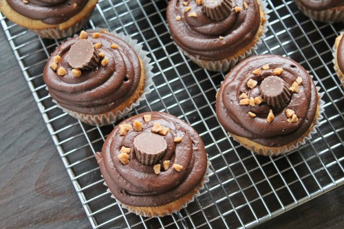 Peanut Butter Cupcakes with Chocolate Frosting | www.hiddenponies.com