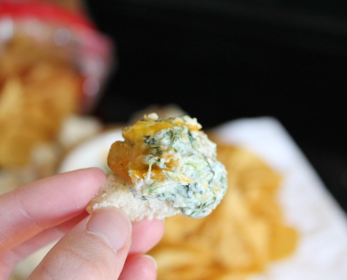 The BEST Cheesy Spinach Dip with Bacon | www.hiddenponies.com
