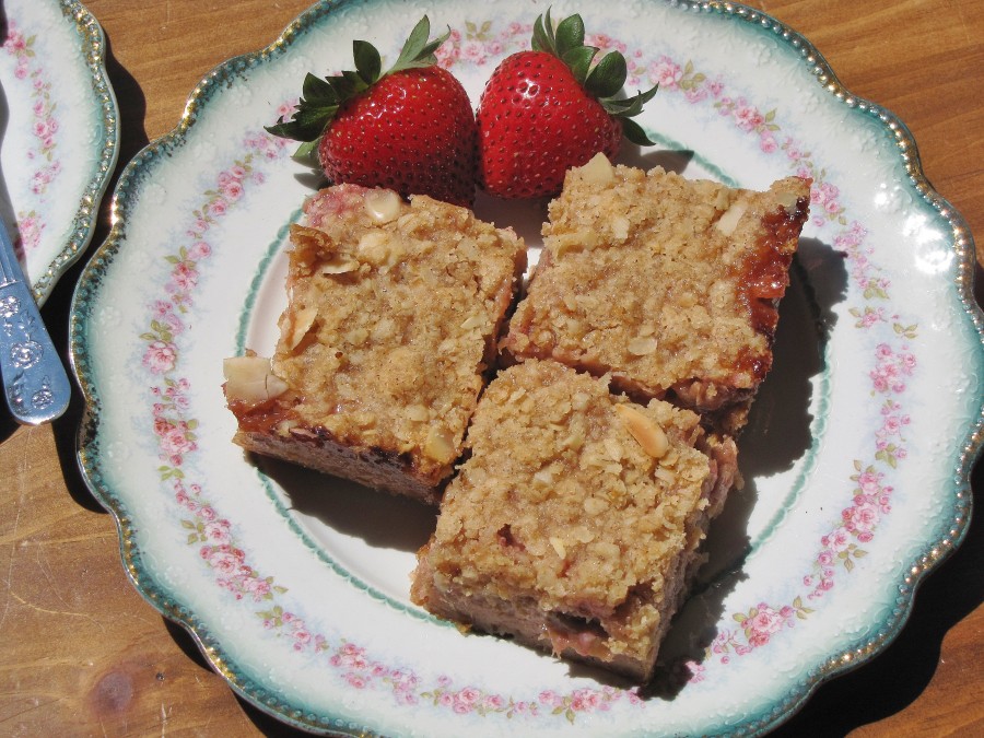 rhubarb crumble squares