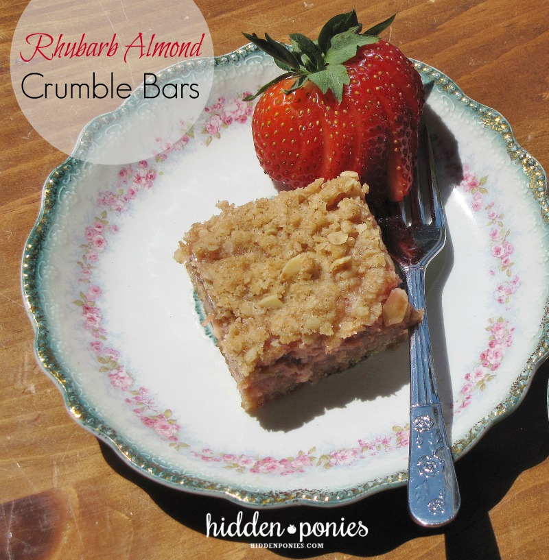 rhubarb crumble squares