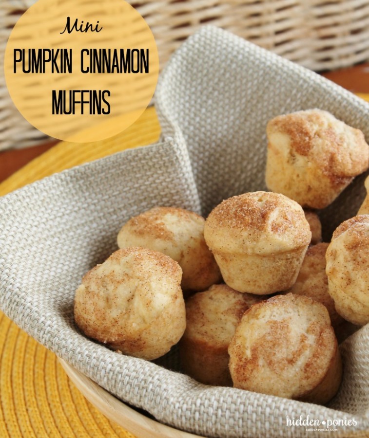 Mini Pumpkin Cinnamon Muffins | hiddenponies.com