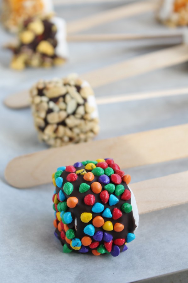 Marshmallow Pops! So easy and fun!  (from hiddenponies.com)