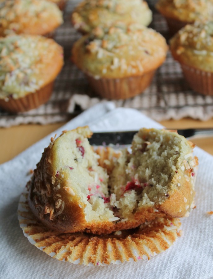 Cranberry Coconut Muffins from hiddenponies.com