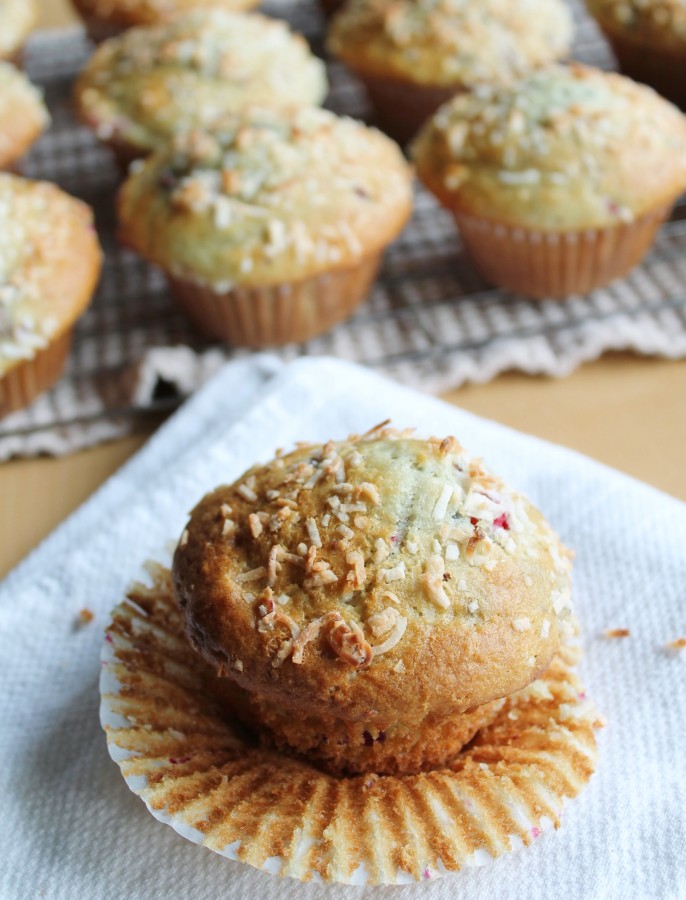 Cranberry Coconut Muffins from hiddenponies.com