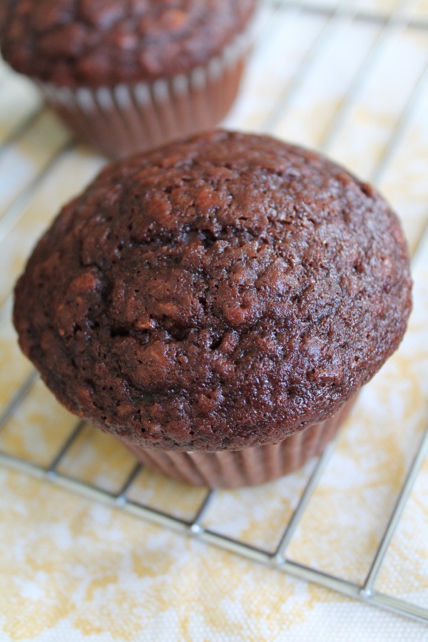 Double Chocolate Oat Muffins