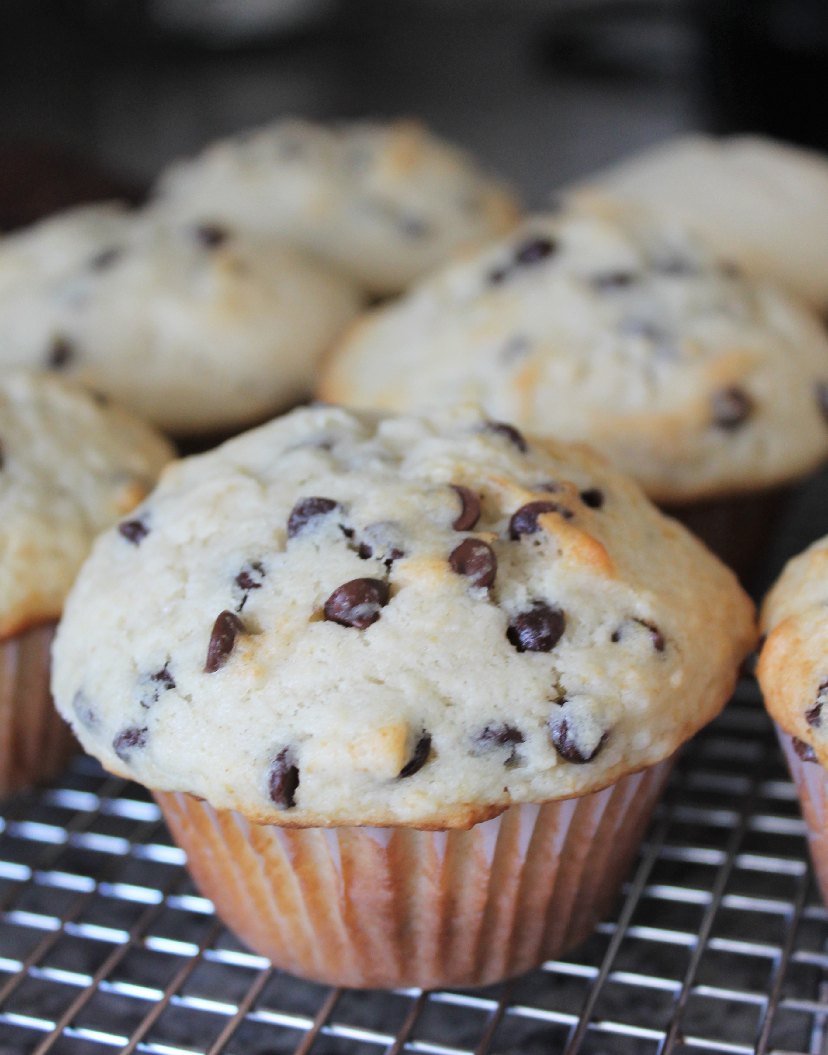 Perfect Chocolate Chip Muffins