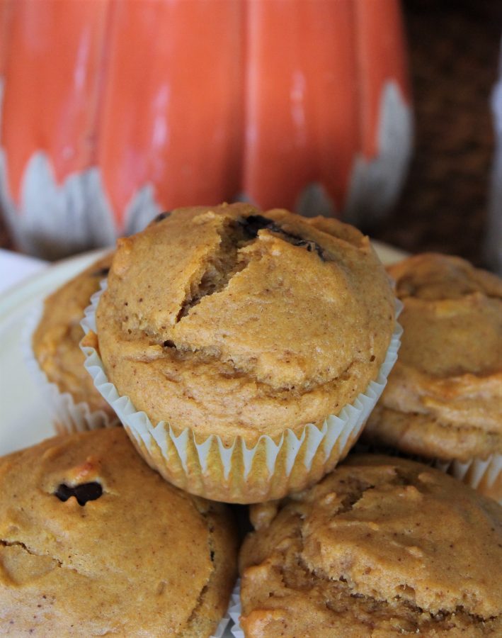pumpkin muffin with chocolate chips