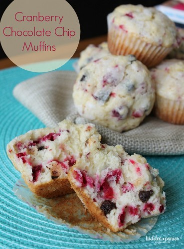 Cranberry Chocolate Chip Muffins