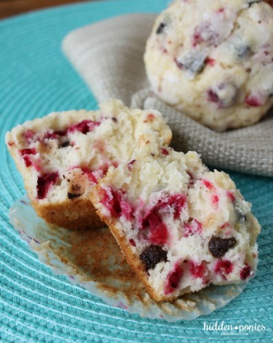 Cranberry Chocolate Chip Muffins